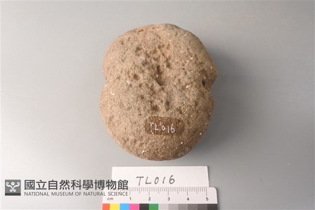 網墜藏品圖，第1張