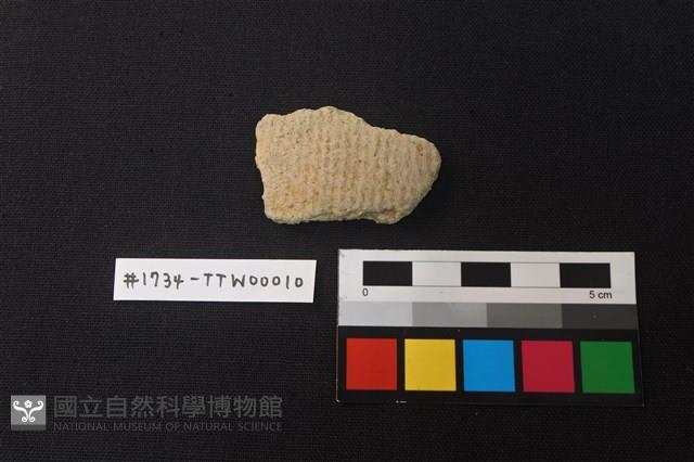 陶片藏品圖，第1張