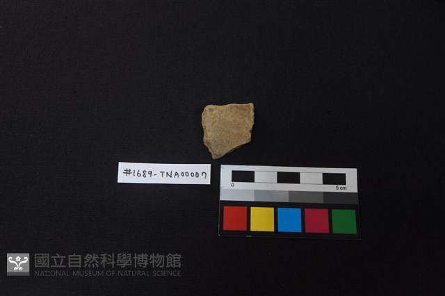 陶片藏品圖，第1張