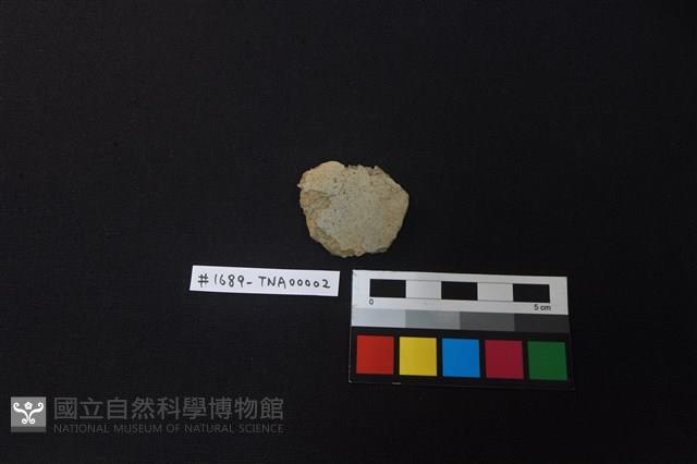 陶片藏品圖，第1張