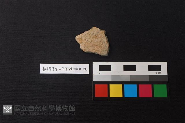 陶片藏品圖，第1張