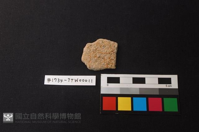 Accession Number:TTW00011 Collection Image, Figure 1, Total 2 Figures