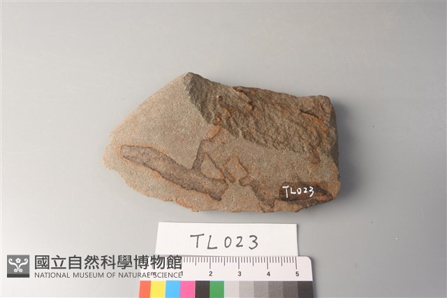 石片器藏品圖，第1張