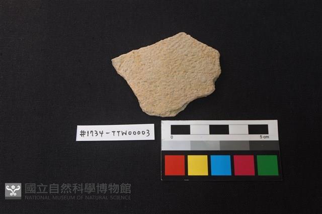 陶片藏品圖，第1張