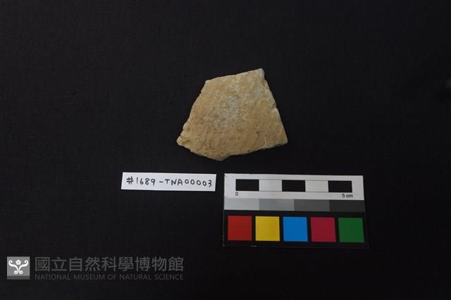 陶片藏品圖，第1張