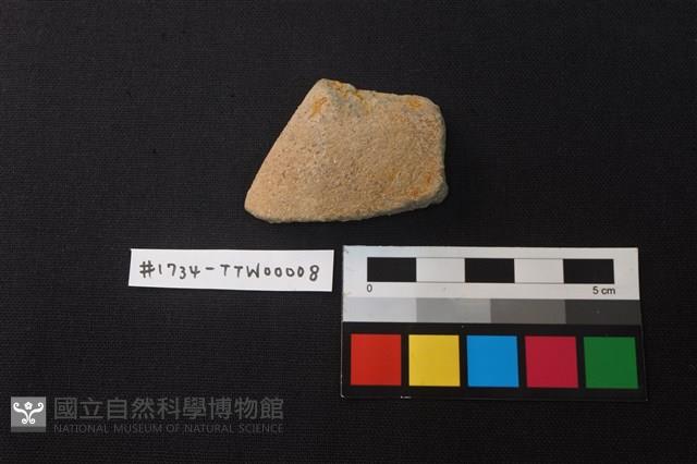 陶片藏品圖，第1張