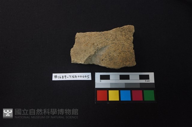 陶片藏品圖，第1張
