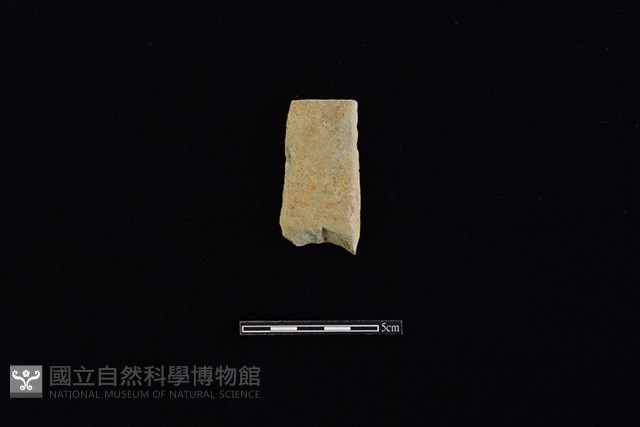 瓦藏品圖，第1張