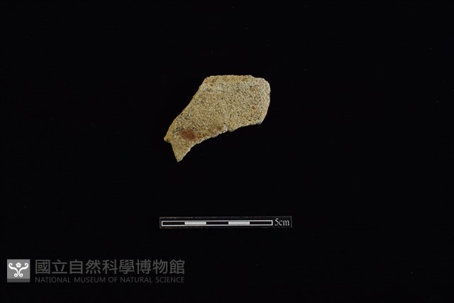 瓦藏品圖，第1張