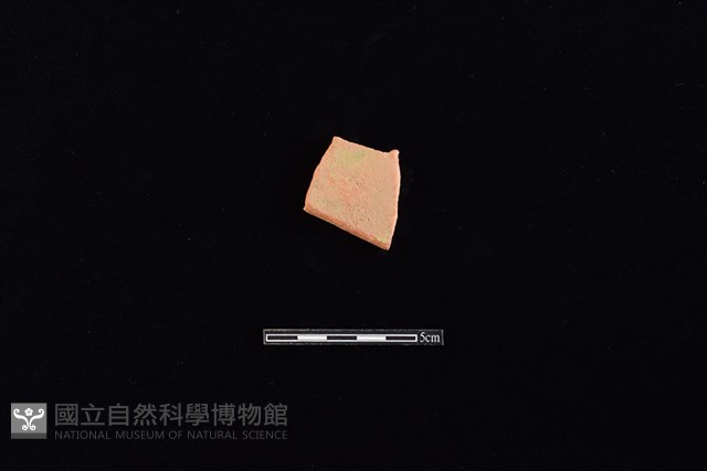瓦藏品圖，第1張