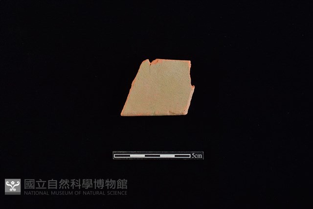 瓦藏品圖，第1張