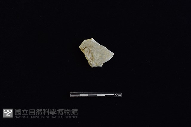 瓦藏品圖，第1張