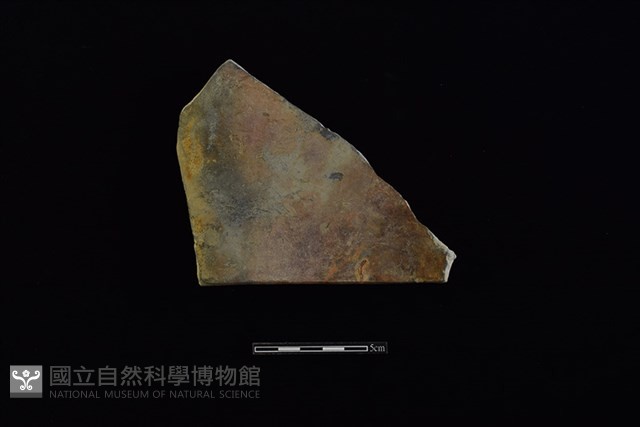 瓦藏品圖，第1張