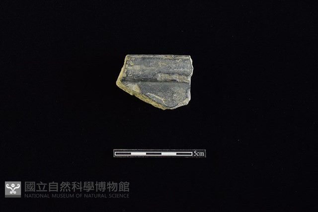 瓦藏品圖，第1張