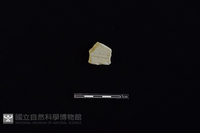 瓦藏品圖，第1張