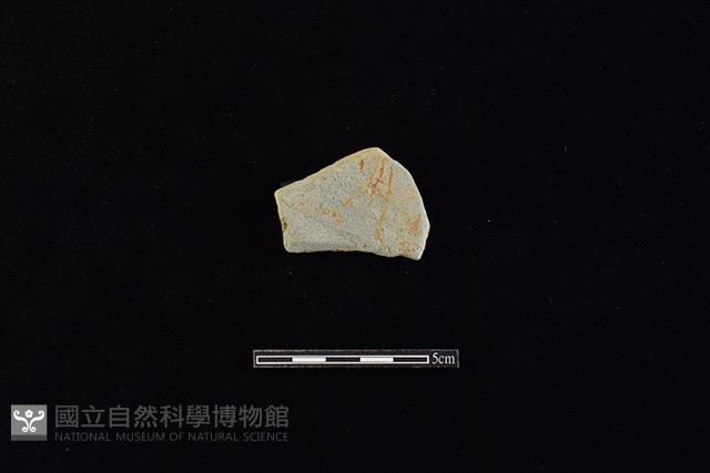 瓦藏品圖，第1張
