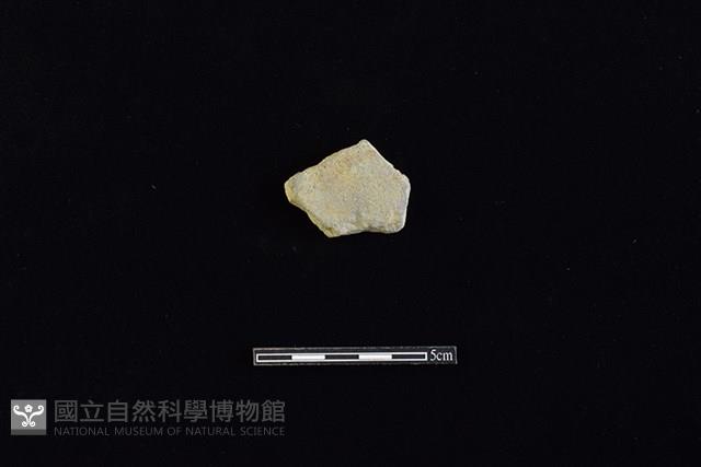 瓦藏品圖，第1張