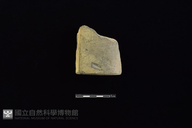 瓦藏品圖，第1張