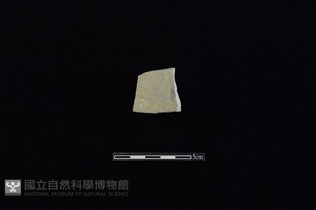 瓦藏品圖，第1張