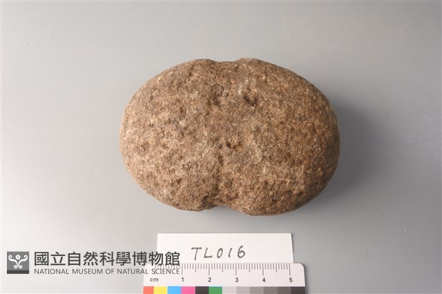 網墜藏品圖，第4張