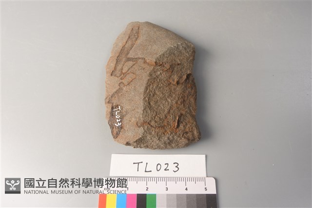 石片器藏品圖，第4張