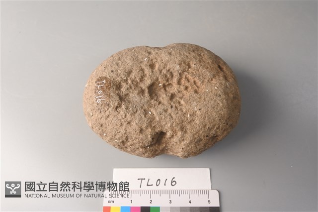 網墜藏品圖，第3張