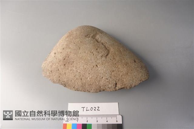 石片器藏品圖，第3張