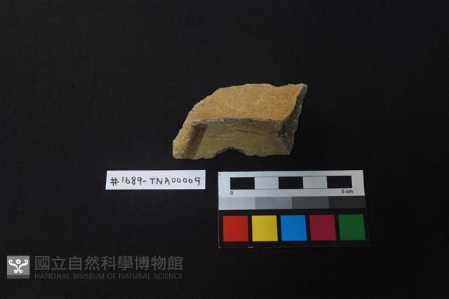 陶片藏品圖，第3張