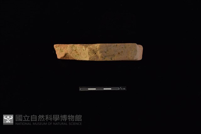 磚藏品圖，第3張