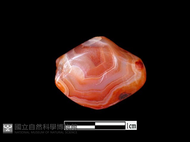 瑪瑙珠藏品圖，第2張