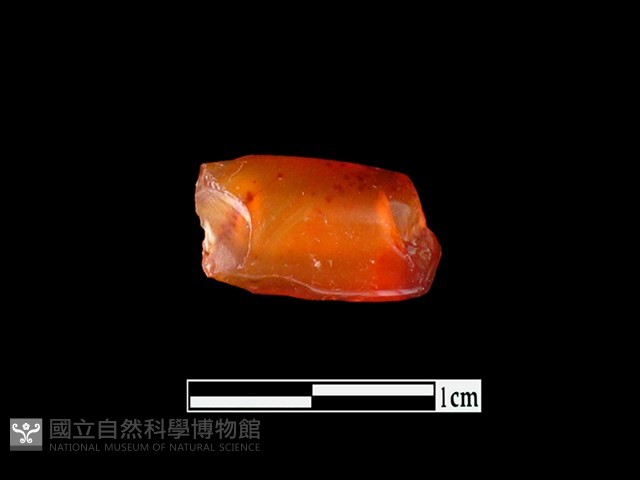瑪瑙珠藏品圖，第2張