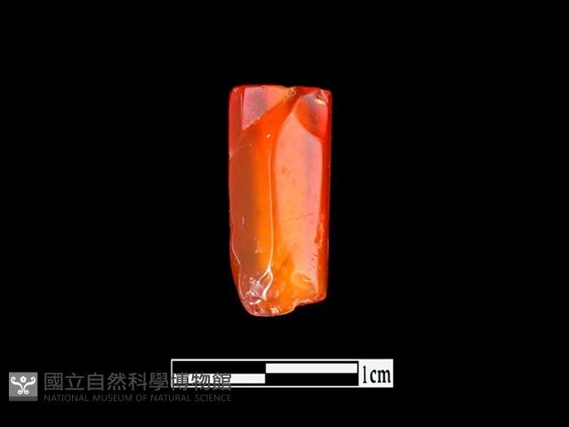 玉髓珠藏品圖，第2張