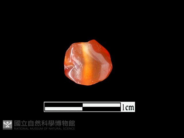 瑪瑙珠藏品圖，第2張