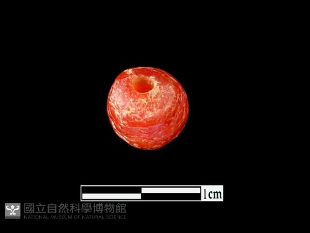 玉髓珠藏品圖，第2張