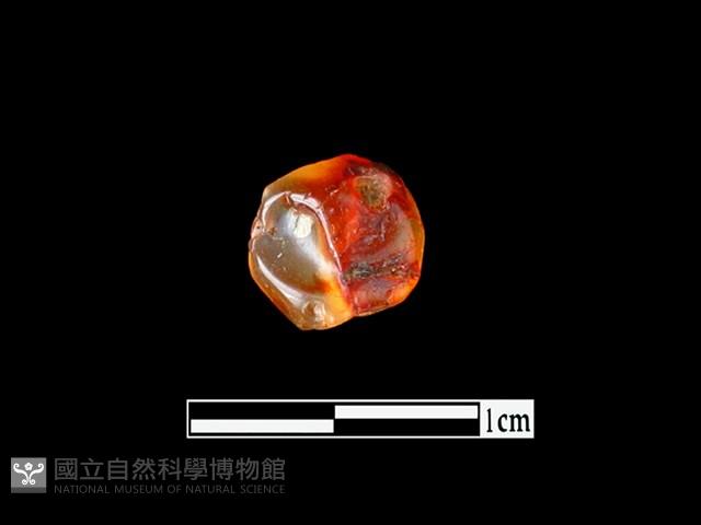 瑪瑙珠藏品圖，第2張