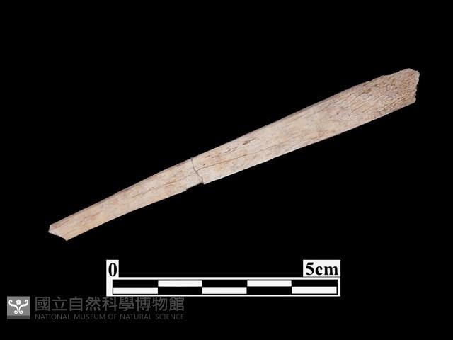 骨器藏品圖，第2張