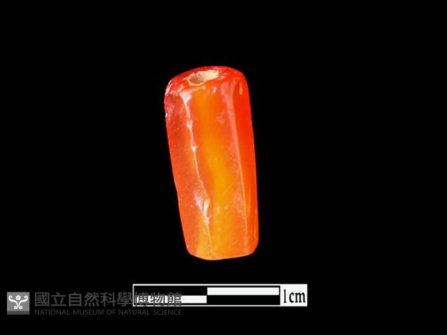 Accession Number:LL-MN047 Collection Image, Figure 2, Total 2 Figures