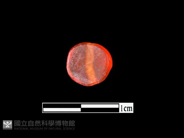 玉髓珠藏品圖，第2張