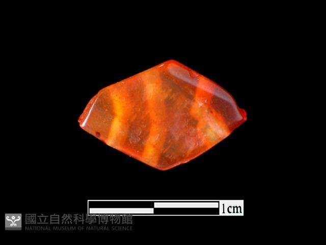 玉髓珠藏品圖，第2張