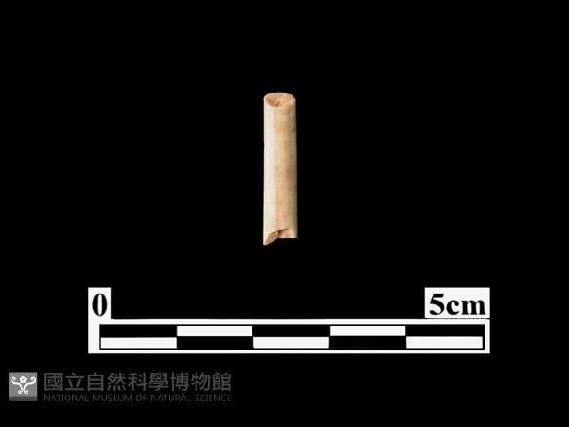 骨器藏品圖，第2張