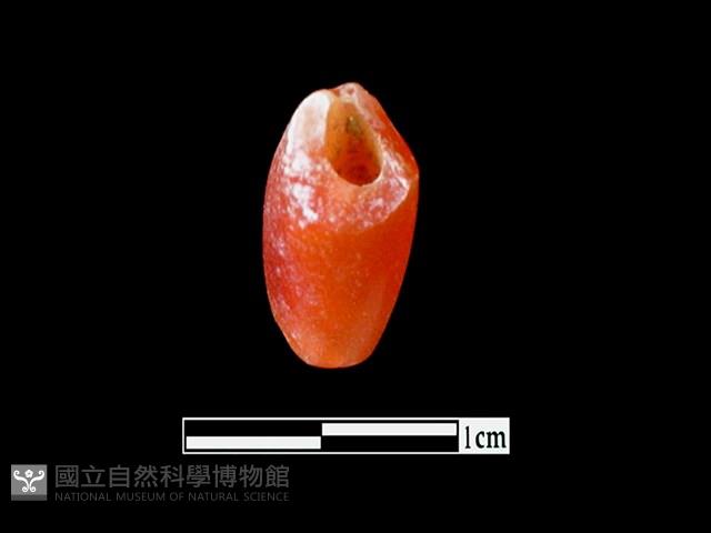 玉髓珠藏品圖，第2張