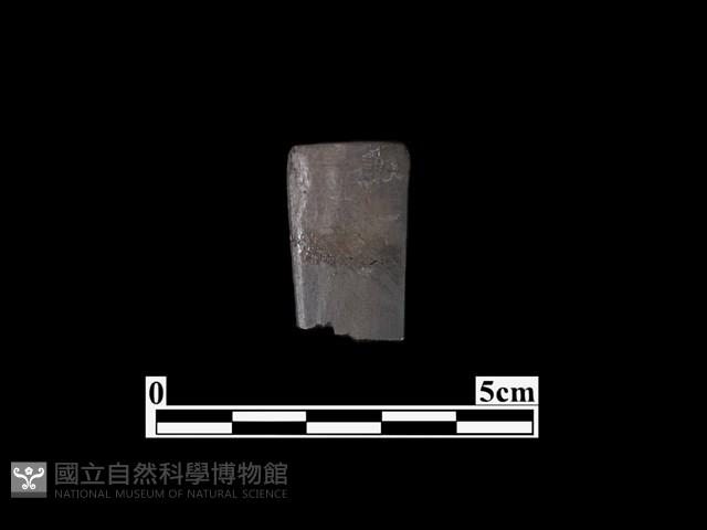 骨器藏品圖，第2張