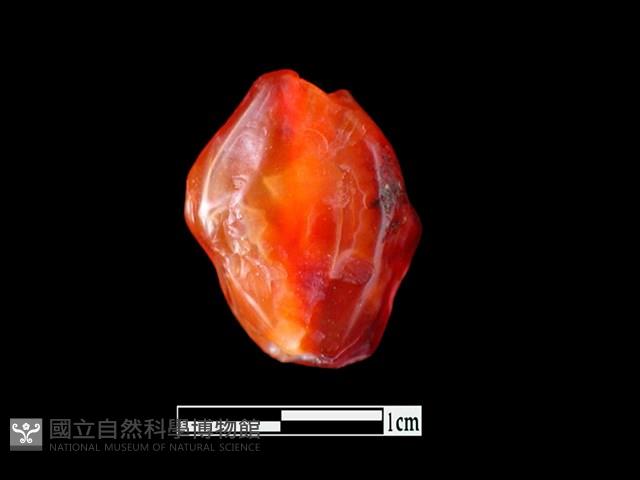 瑪瑙珠藏品圖，第2張