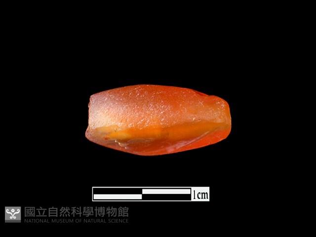 瑪瑙珠藏品圖，第2張