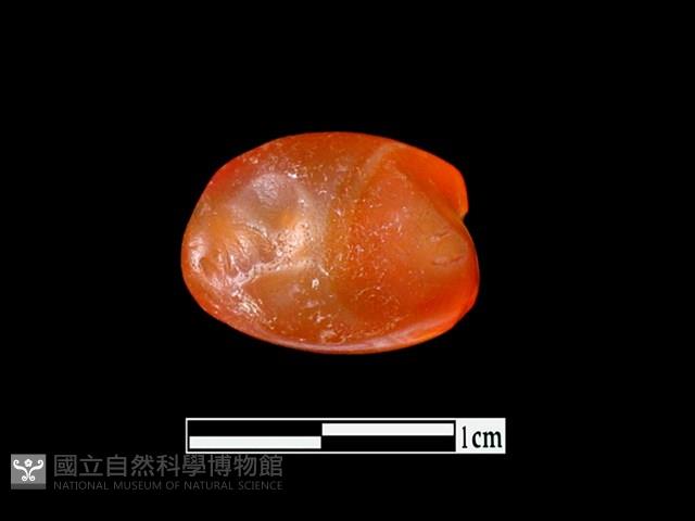 瑪瑙珠藏品圖，第2張