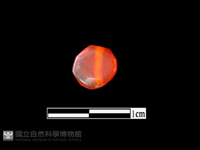 玉髓珠藏品圖，第2張