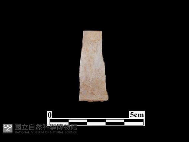 骨器藏品圖，第2張