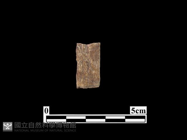 骨器藏品圖，第2張