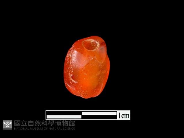 玉髓珠藏品圖，第2張