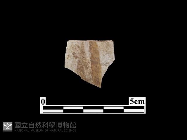 骨器藏品圖，第2張